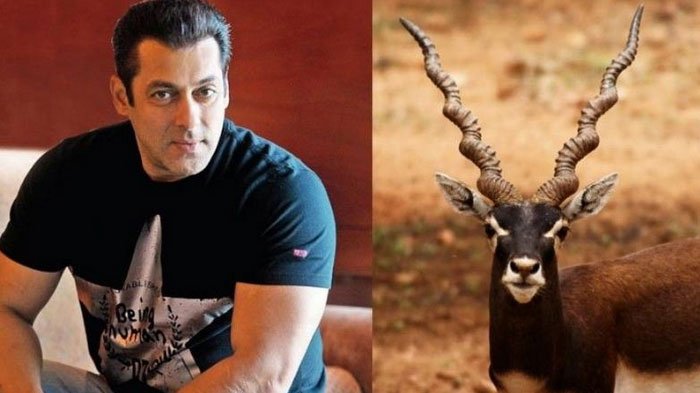 salman-khan_20180407_224349.jpg