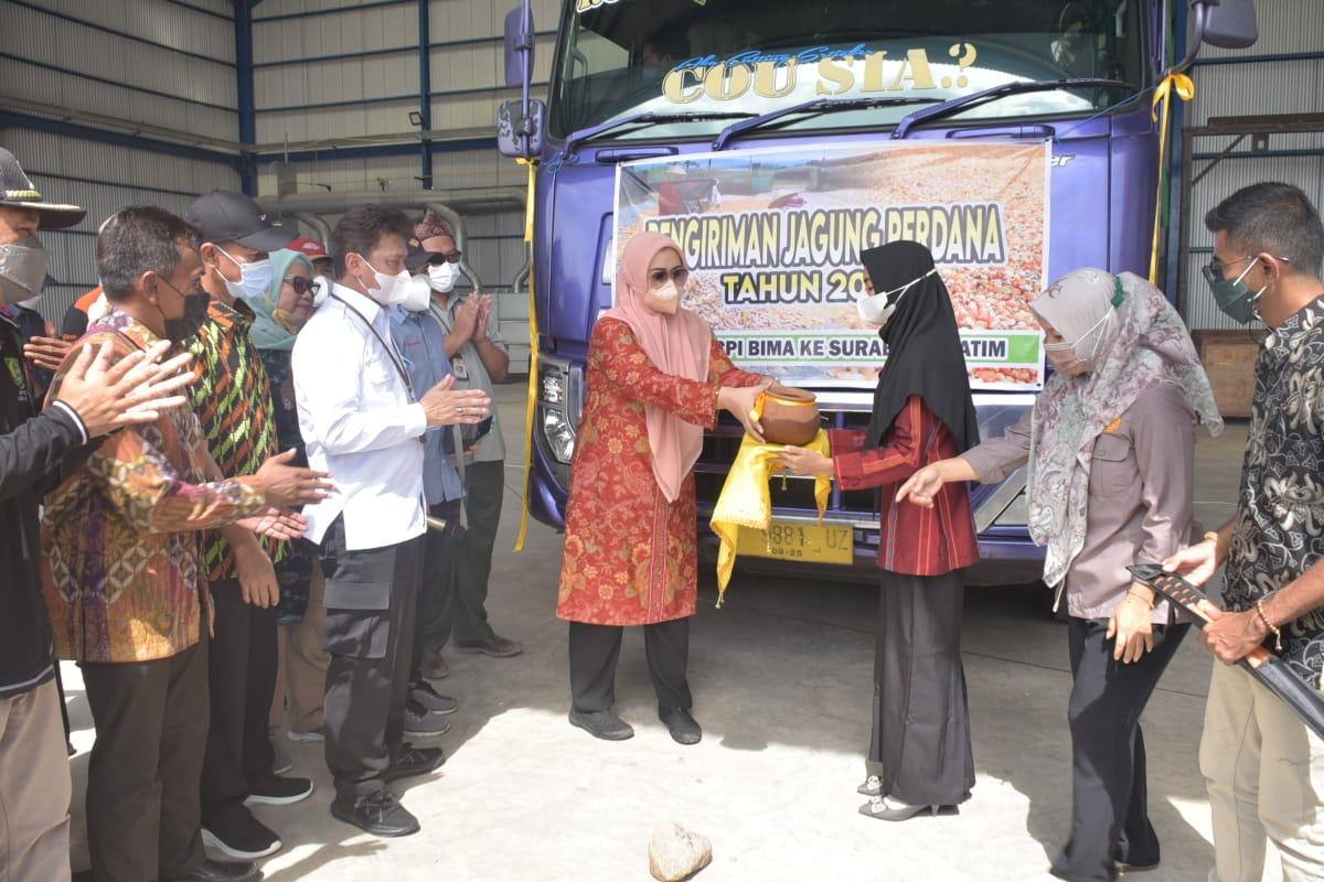 sekretaris-ditjen-tanaman-pangan-kementan-bambang-pamuji.jpg