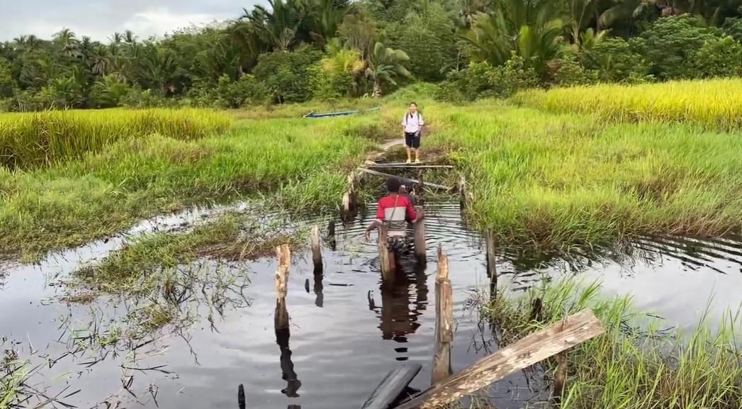 SEMANGAT MENGAJAR - Tangkap layar momen Diana Cristiana Da Costa Ati, guru kontrak di Kabupaten Mappi, Papua Selatan melewati jembatan yang rusak di Kampung Atti.