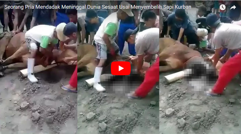 seorang-pria-mendadak-meninggal-dunia-sesaat-usai-menyembelih-sapi-kurban_20170904_121100.jpg