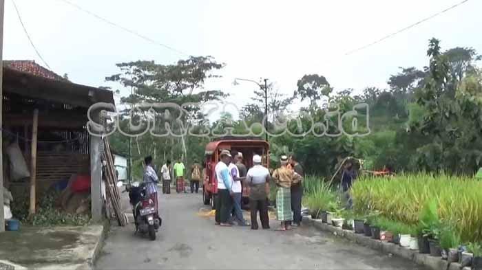 serangan-tawon-sliring-di-magetan.jpg