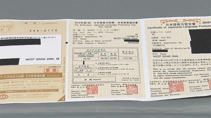 sertifikat-kecakapan-bahasa-jepang-jlpt-palsu.jpg