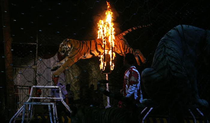 sirkus-tsi_20151109_135718.jpg