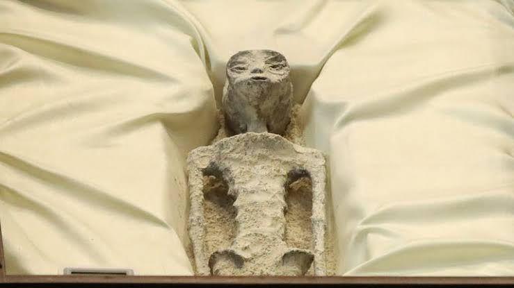 sosok-jasad-alien-dipamerkan-di-kongres-parlemen-meksiko-1234.jpg