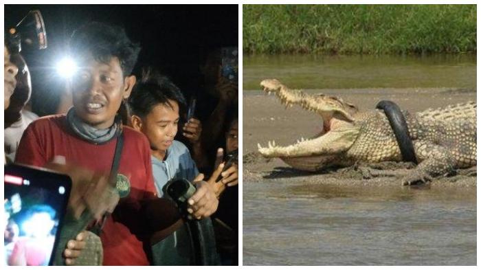 sosok-pria-penangkap-buaya-berkalung-ban-di-palu-berjuang-sendiri-dan-sering-diremehkan-warga.jpg
