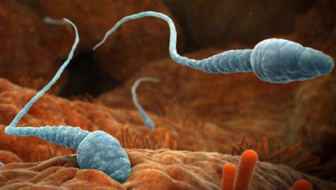 Transeksüel video Men dugonamning xotinini ishga olib ketayotib sikdim.