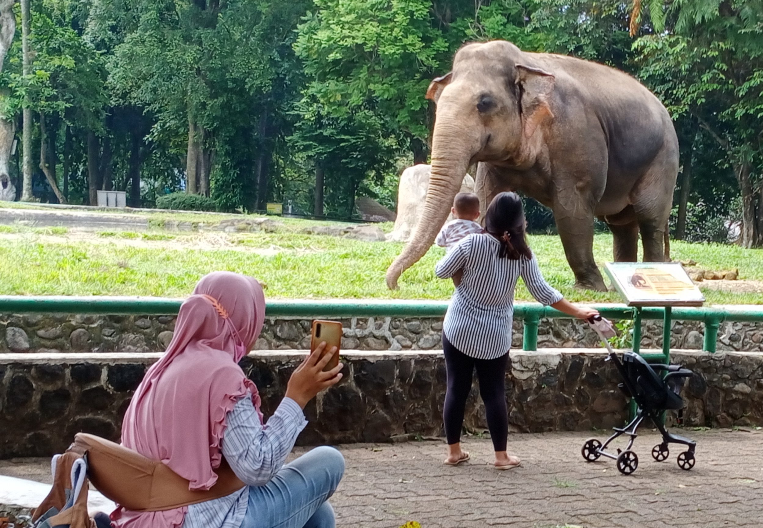 suasana-pengunjung-taman-margasatwa-ragunan-hari-pertama-dibuka_20211023_164434.jpg