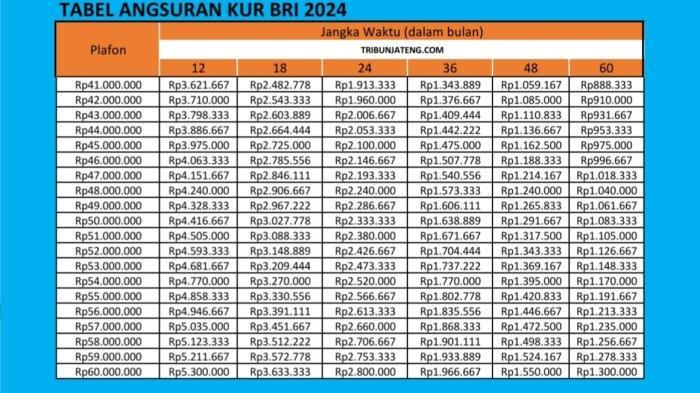 tabel-angsuran-kur-bri-2024-untuk-pinjaman-rp-41-60-juta.jpg