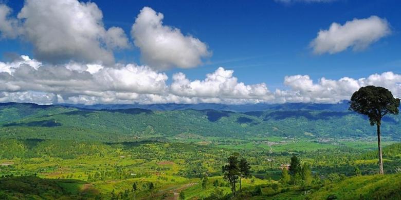 taman-leuser_20150626_130502.jpg