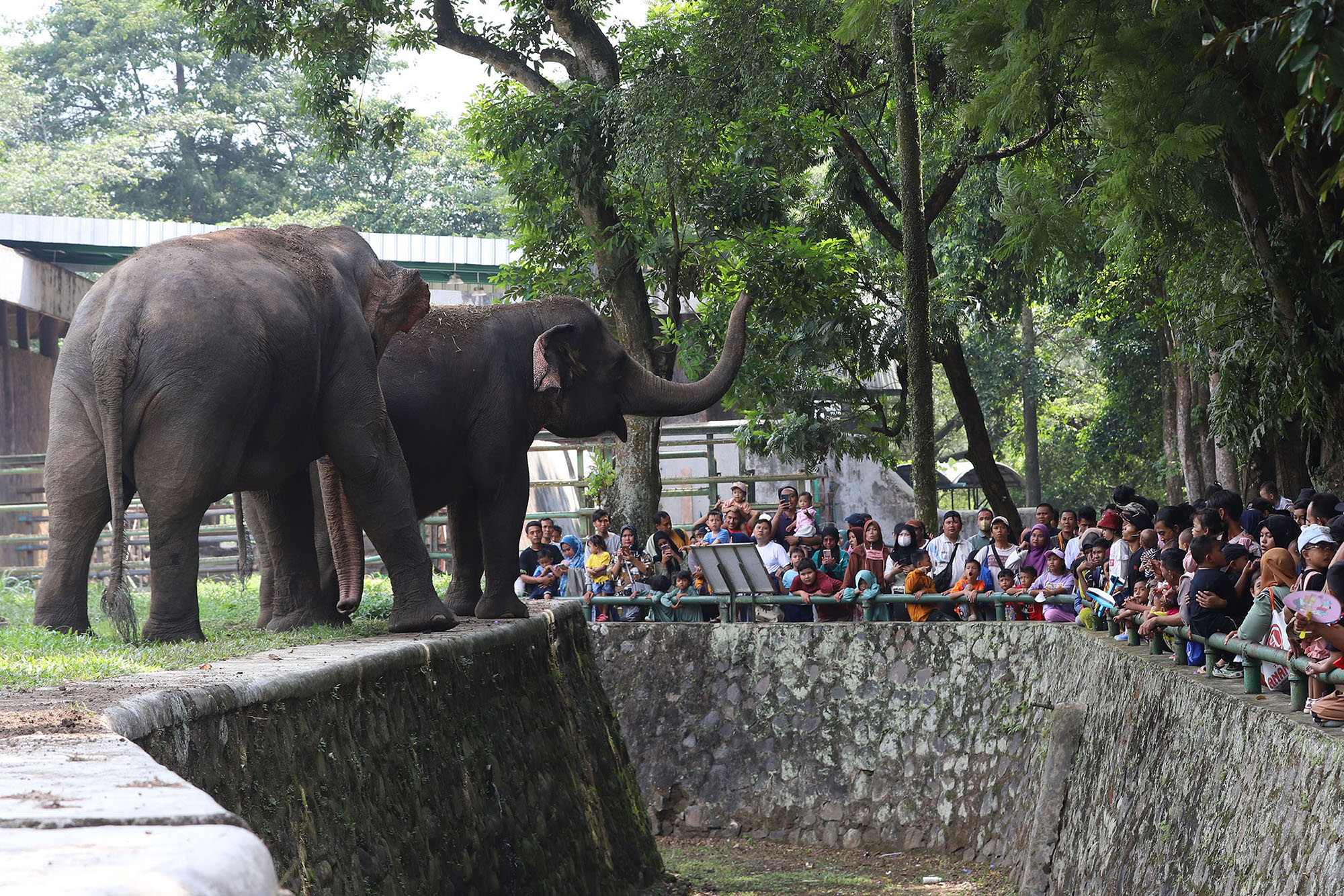Harga Tiket Masuk Kebun Binatang Ragunan untuk Libur Nataru, Bisa Diakses Via Online