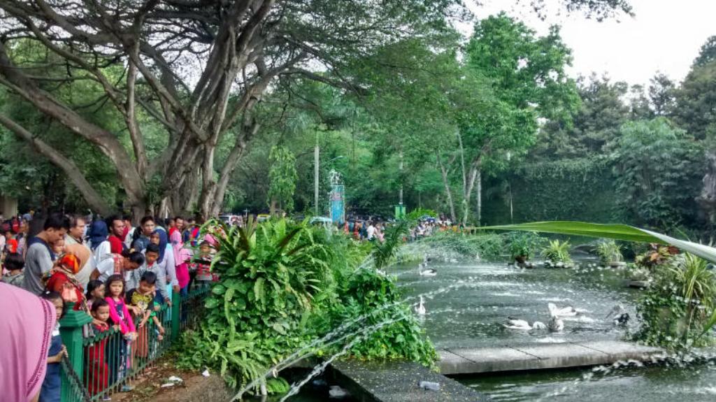 Kebun Binatang Ragunan Diserbu Pengunjung