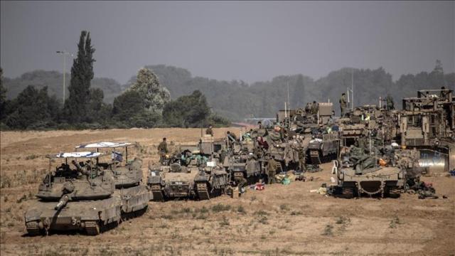 Buldoser Israel Menggila, Babat Habis Ratusan Pohon Zaitun Milik Petani Palestina
