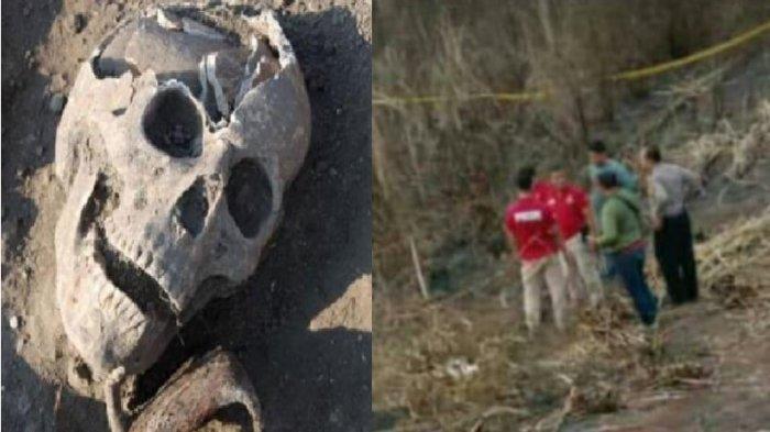Misteri Temuan Kerangka Manusia di Ladang Tebu Sukoharjo, Berawal saat Lahan Dibakar