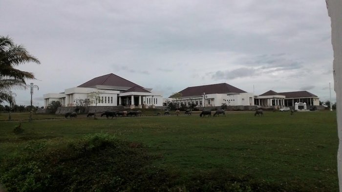 ternak-ngantor_20170601_180828.jpg