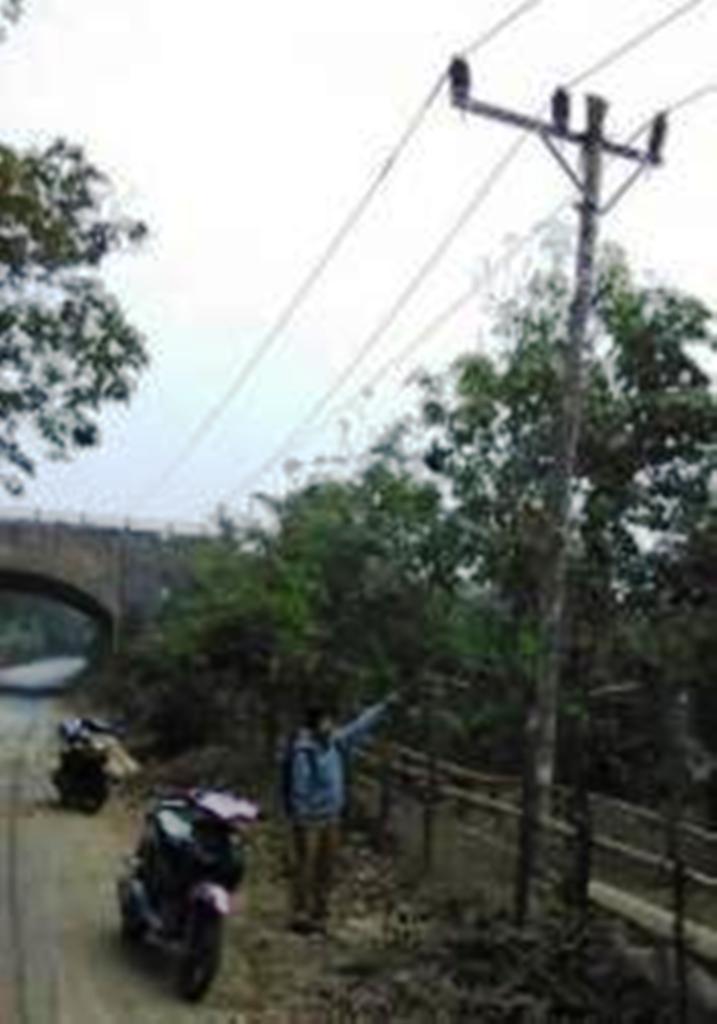 tiang-listrik-kayu_20150923_132623.jpg
