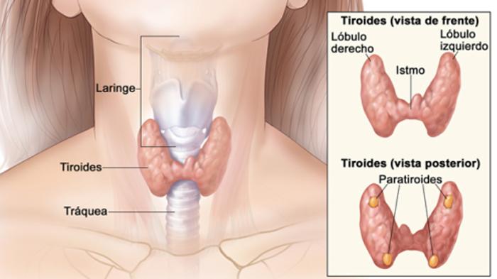 tumor-tiroid.jpg