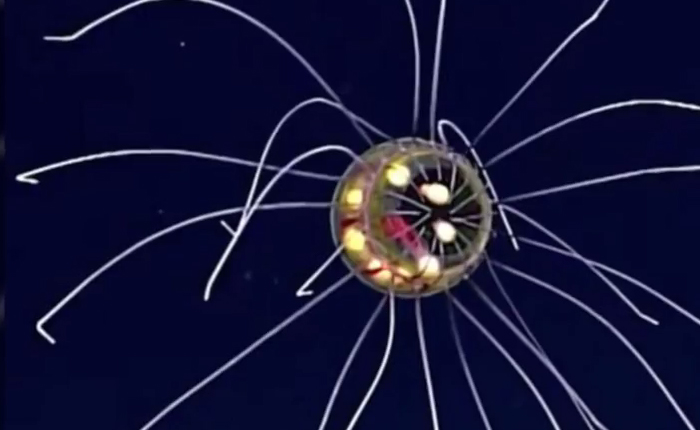 ubur-ubur-ufo_20160504_195857.jpg