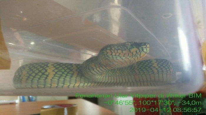 Lezbiyen ona porno tomosha