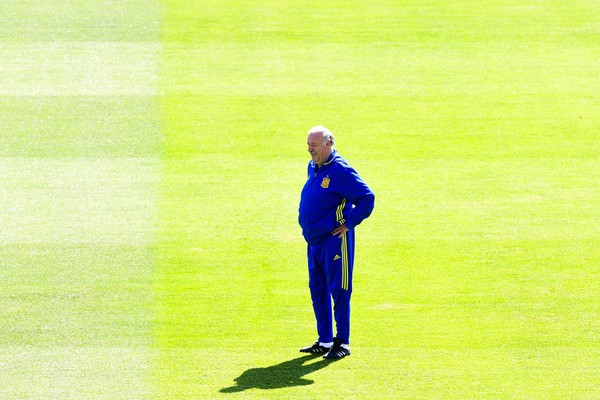 vicente-del-bosque-sendiriiii_20160705_210517.jpg