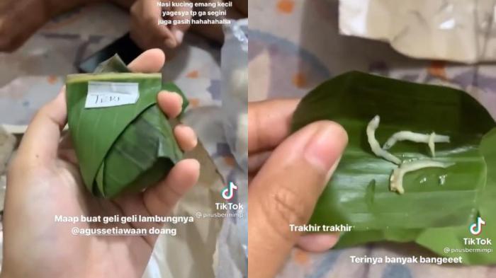 video-viral-beli-nasi-kucing-terkejut-lihat-porsinya-ditonton-lebih-dari-15-juta-orang-di-tiktok.jpg