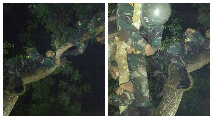 viral-foto-foto-anggota-tni-tidur-pulas-di-atas-pohon-di-sebuah-hutan.jpg