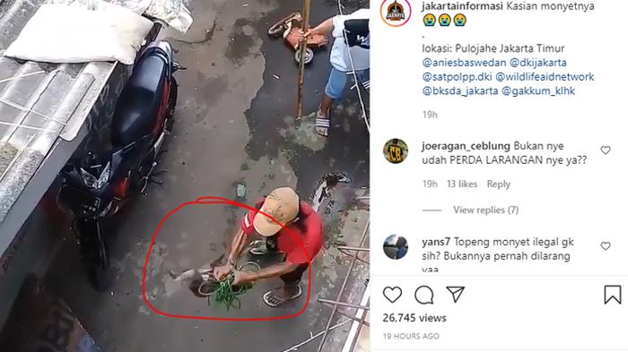 Viral Video Monyet Dipukul Berkali-kali dan Ditendang, Tak Bisa Lari karena Leher Terkekang Tali