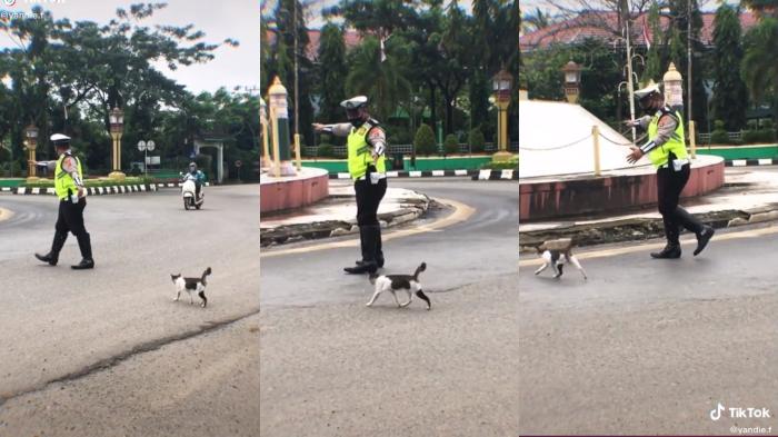 VIRAL Polisi Bantu Kucing Menyeberang Jalan, Dapat Banyak Pujian dari Warganet