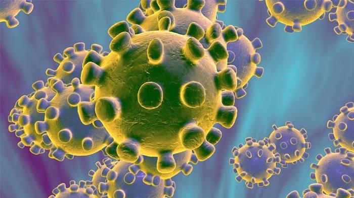 virus-corona-99898211.jpg
