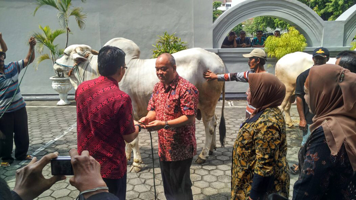 wagub-diy-serahkan-sapi-kurban_20160909_125203.jpg