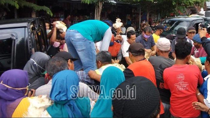warga-berebut-ayam-potong-yang-dibagikan-peternak.jpg