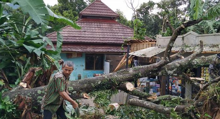 warga-bersihkan-pohon-tumbang.jpg
