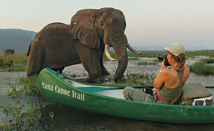 wildlife_20160412_155012.jpg