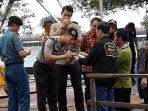 019-meninjau-panen-raya-udang-j.jpg