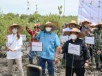 10-ribu-mangrove-di-langkat.jpg