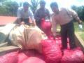 10-ton-bawang-merah-selundupan-dari-malaysia-diamankan.jpg