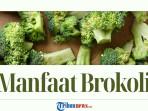 14 Manfaat Brokoli untuk Kesehatan Tubuh yang Jarang Diketahui