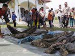 14-tahun-berlalu-korban-tsunami-aceh-kembali-ditemukan-dan-berhasil-diidentifikasi.jpg