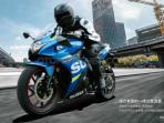 1477040044_suzuki-gsx-250r_20161021_182301.jpg