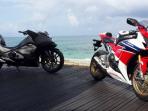 1615148moge-honda3780x390_20150611_005248.jpg