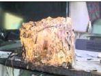 1619125wii-u-terbakar300x400_20150525_193454.jpg