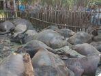 19-kerban-mati-tersambar-petir.jpg