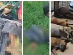 Teror Anjing Liar di Aceh Lukai 8 Korban hingga Matinya 4 Ekor Anjing yang Tewaskan Bocah di Bogor