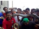 2-ular-yang-masing-masing-sepanjang-4-meter_20180501_163622.jpg