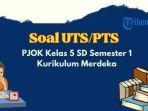 20-contoh-soal-uts-pts-pjok-kelas-5-sd-semester-1-kurikulum-merdeka-12.jpg
