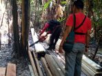 20-kubik-kayu-olahan-ditemukan-di-kawasan-hutan-konservasi_1_20170605_083647.jpg