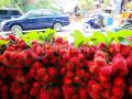 20110808_Rambutan_Manis_Binjai_.jpg