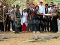 20111026_Komodo_Keajaiban_Dunia.jpg