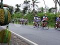 20111105_Kompas_Jelajah_Sepeda_Meriahkan_SEA_Games_.jpg