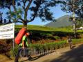 20120104_Gunung_Dempo_Pagaralam.jpg