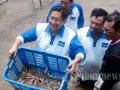 20120126_Anas_Urbaningrum_Panen_Udang.jpg